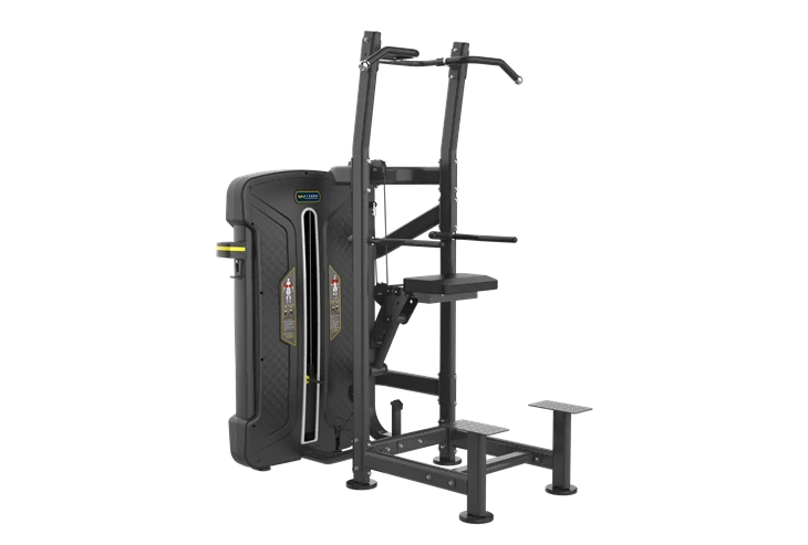 Fornitura diretta in fabbrica Buon prezzo Assist Dip Chin Gym Machine